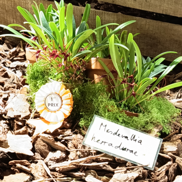 Fontfroide_2025